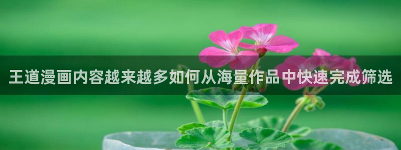 漫蛙漫画完结漫画推荐:王道漫画内容越来越多如何从海量作品中快速完成筛选